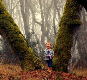 Baby standing on a tree in the foggy woods