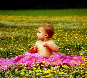 Baby sitting in a field of dandelions on a sunny day